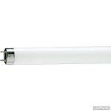 Лампа люм.PHILIPS TL-D36W/765  G13